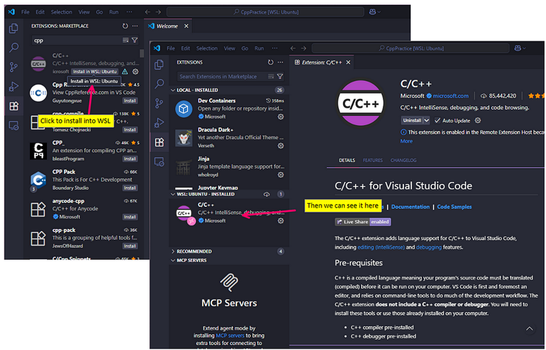 Steps to install into WSL