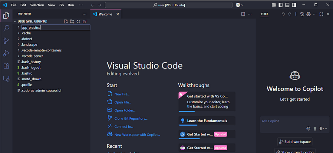 Direct Use VS Code