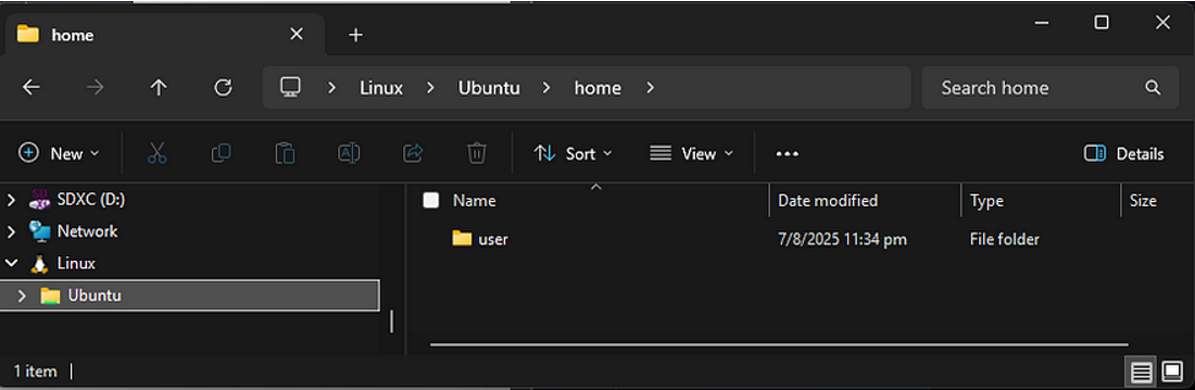 Windows File System